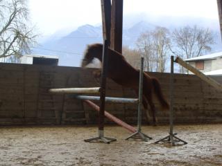 http://cedesmillieres.fr/sites/default/files/imagecache/preset3/royal%20feu%20009.JPG